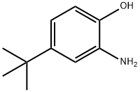 2-Amino-4-tert-butylphenol(1199-46-8)